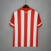 Atletico Madrid 13/14 Home Red&White Soccer Jersey